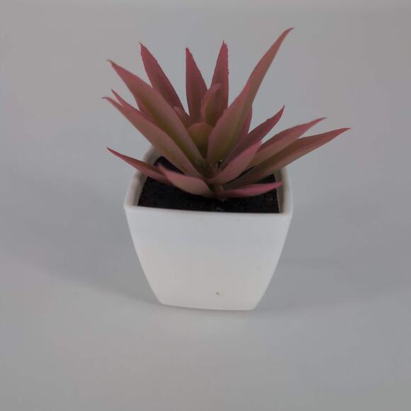 Mini Fake Faux Artificial Pink Succulent Potted Plant in Plastic White Pot - GUC - Picture 4 of 10
